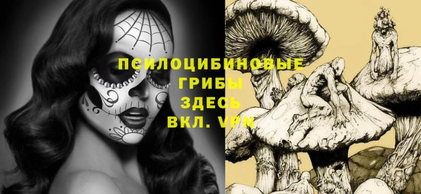 дурь Беломорск