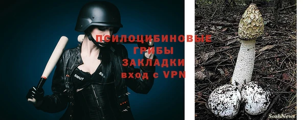 не бодяженный Белокуриха
