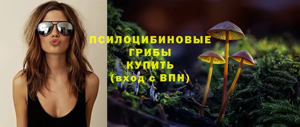 не бодяженный Белокуриха