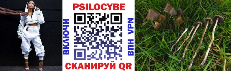 Галлюциногенные грибы прущие грибы  darknet как зайти  Белгород  купить наркоту 